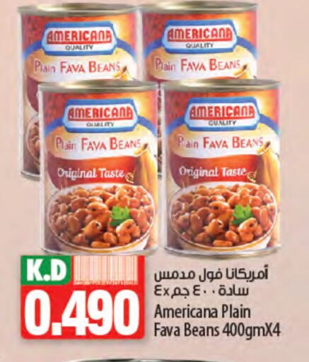 AMERICANA Fava Beans available at Mango Hypermarket  in Kuwait - Ahmadi Governorate