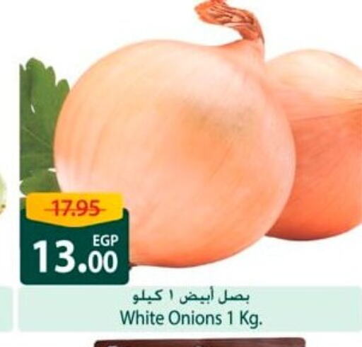 White Onion available at Spinneys  in Egypt - Cairo