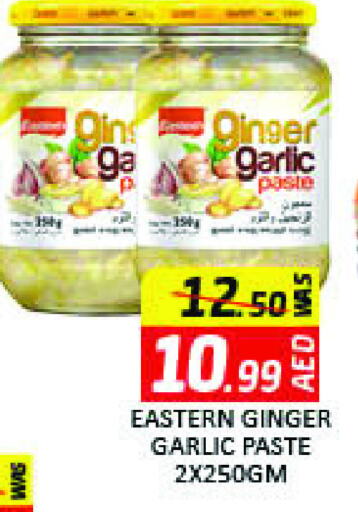 Salts, Spices & Paste in Mango Hypermarket LLC, UAE Offers - United Arab Emirates EASTERN Garlic Paste available at Mango Hypermarket LLC in UAE - Dubai