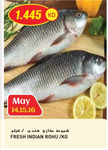 Fresh Fish in Grand Hyper, Kuwait Offers - Kuwait available at Grand Hyper in Kuwait - Jahra Governorate