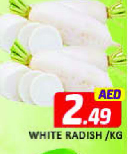 Fresh Vegetables in Mango Hypermarket LLC, UAE Offers - United Arab Emirates Radish available at Mango Hypermarket LLC in UAE - Dubai