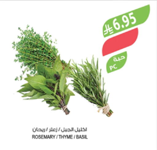 الخضروات الطازجة in المزرعة, المملكة العربية السعودية Offers - المملكة العربية السعودية Rosemary Thyme Basil available at المزرعة in مملكة العربية السعودية, السعودية, سعودية - سكاكا