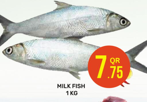 الأسماك الطازجة in مجلس هايبرماركت, قطر Offers - قطر available at مجلس هايبرماركت in قطر - الدوحة