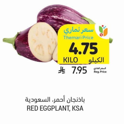 الخضروات الطازجة in أسواق التميمي, المملكة العربية السعودية Offers - المملكة العربية السعودية Eggplant available at أسواق التميمي in مملكة العربية السعودية, السعودية, سعودية - المدينة المنورة