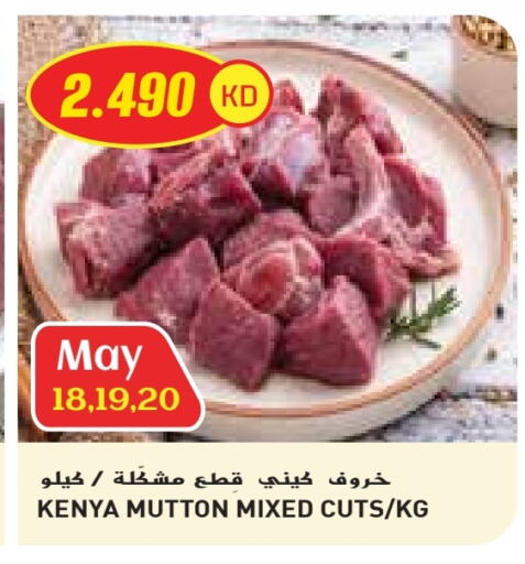 Meat - Fresh & Chilled in Grand Costo, Kuwait Offers - Kuwait Mutton / Lamb available at Grand Costo in Kuwait - Ahmadi Governorate
