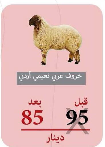 Meat - Fresh & Chilled in Al- Surra Cooperative Society, Kuwait Offers - Kuwait available at Al- Surra Cooperative Society in Kuwait - Jahra Governorate