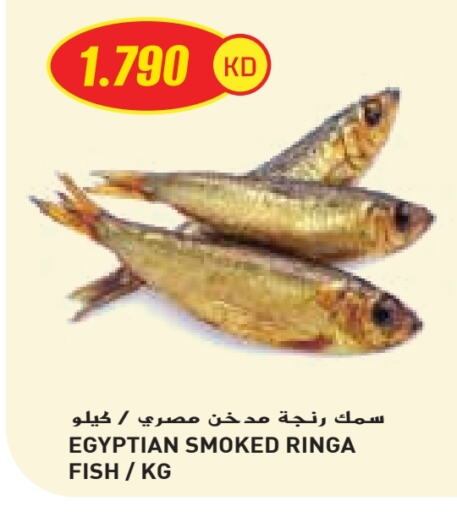 available at جراند كوستو in الكويت - محافظة الأحمدي