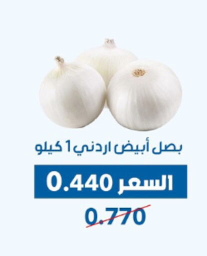 Fresh Vegetables in Dahiyat Abdullah Al Salem and Mansourieh Cooperative Society, Kuwait Offers - Kuwait Onion available at Dahiyat Abdullah Al Salem and Mansourieh Cooperative Society in Kuwait - Jahra Governorate