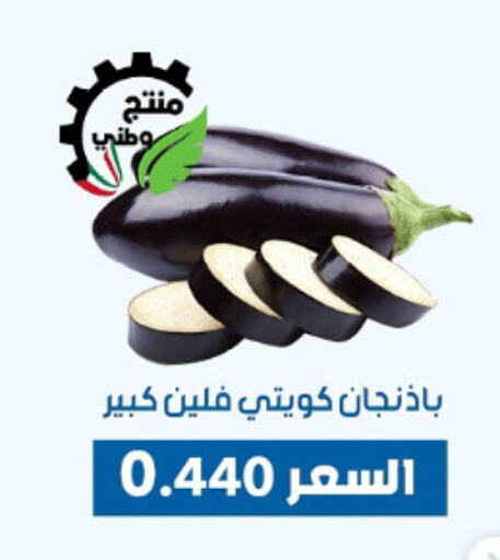 Fresh Vegetables in Dahiyat Abdullah Al Salem and Mansourieh Cooperative Society, Kuwait Offers - Kuwait available at Dahiyat Abdullah Al Salem and Mansourieh Cooperative Society in Kuwait - Jahra Governorate