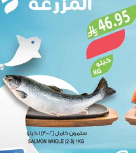 Fresh Fish in Farm , Saudi Arabia Offers - Saudi Arabia available at Farm in KSA, Saudi Arabia, Saudi - Sakaka