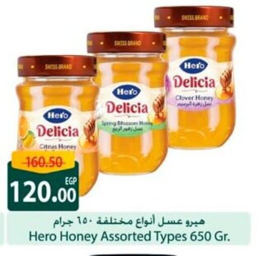 Sauces & Spreads in Spinneys , Egypt Offers - Egypt Honey available at Spinneys in Egypt - Cairo