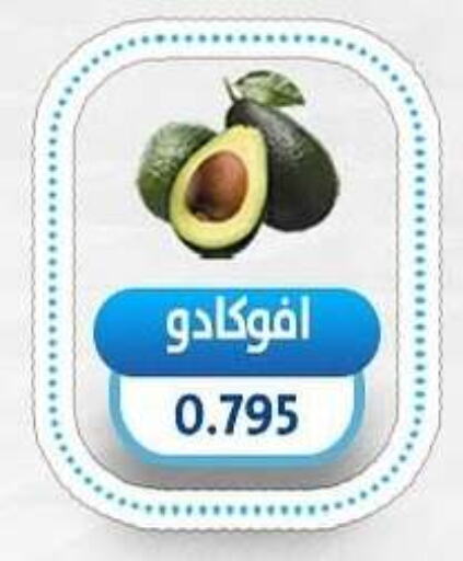 Avacado available at Salmiya Co-op Society in Kuwait - Kuwait City