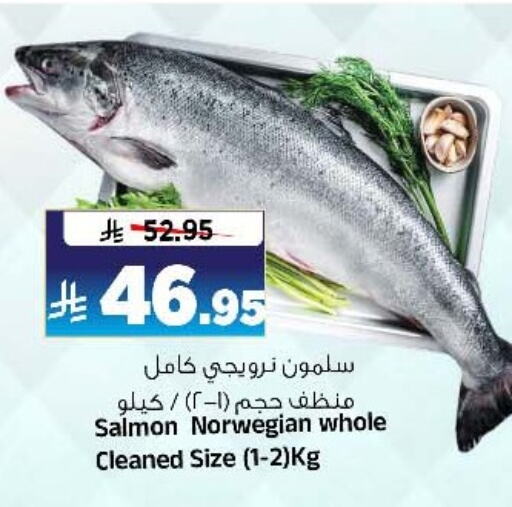 available at المدينة هايبرماركت in مملكة العربية السعودية, السعودية, سعودية - الرياض