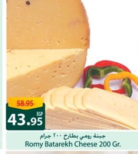 Roumy Cheese available at Spinneys  in Egypt - Cairo