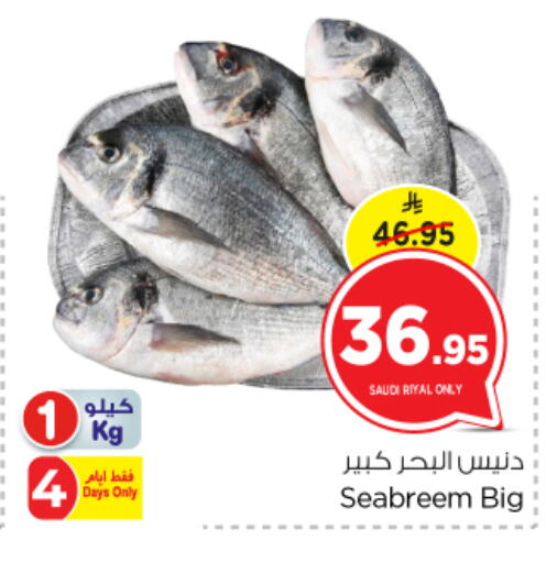 available at Nesto in KSA, Saudi Arabia, Saudi - Al Majmaah