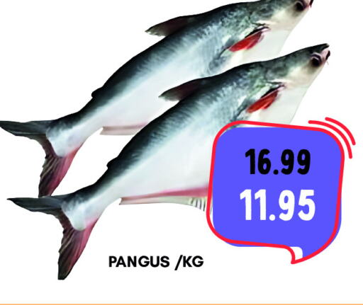available at ROYAL GULF HYPERMARKET LLC in UAE - Abu Dhabi