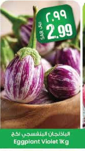 Fresh Vegetables in City Flower, Saudi Arabia Offers - Saudi Arabia Eggplant available at City Flower in KSA, Saudi Arabia, Saudi - Hail