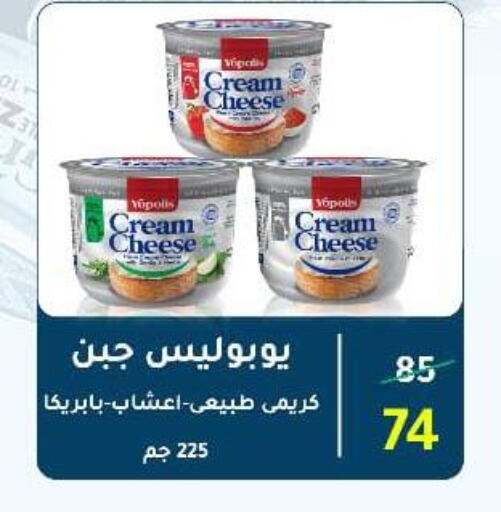 جبنة كريمية available at وكالة المنصورة - الدقهلية‎ in Egypt - القاهرة