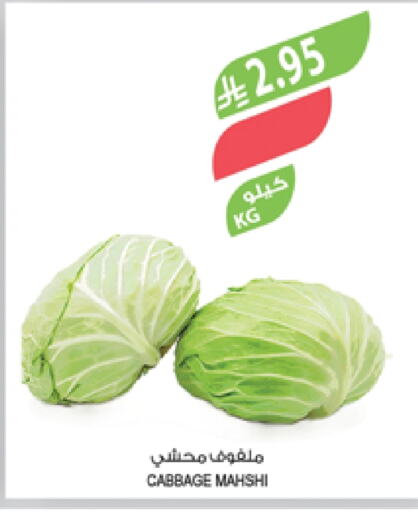 Cabbage available at Farm  in KSA, Saudi Arabia, Saudi - Al Hasa