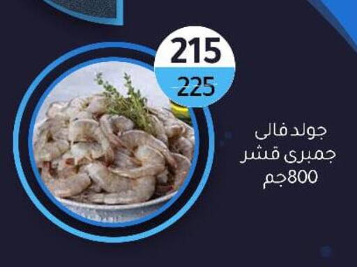 available at Wekalet Elmansoura - Dakahlia  in Egypt - Cairo
