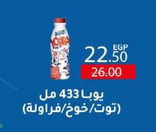 Milk & Laban in Wekalet Elmansoura - Dakahlia , Egypt Offers - Egypt available at Wekalet Elmansoura - Dakahlia in Egypt - Cairo