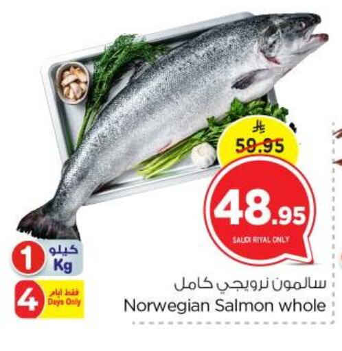 available at نستو in مملكة العربية السعودية, السعودية, سعودية - الرياض