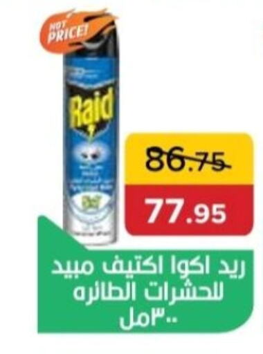 Insect Repellent in Pickmart, Egypt Offers - Egypt RAID available at Pickmart in Egypt - Cairo
