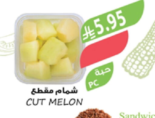 Fresh Fruits in Farm , Saudi Arabia Offers - Saudi Arabia Sweet melon available at Farm in KSA, Saudi Arabia, Saudi - Qatif
