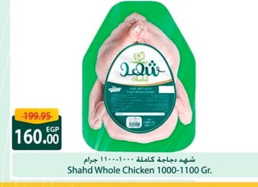 دجاج كامل طازج available at سبينس in Egypt - القاهرة