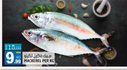 الأسماك الطازجة in هاشم هايبرماركت, UAE Offers - الإمارات العربية المتحدة available at هاشم هايبرماركت in الإمارات العربية المتحدة , الامارات - الشارقة / عجمان