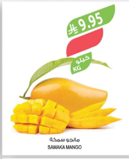 Fresh Fruits in Farm , Saudi Arabia Offers - Saudi Arabia Mangoes available at Farm in KSA, Saudi Arabia, Saudi - Najran