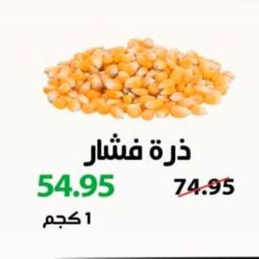 available at Spinneys  in Egypt - Cairo