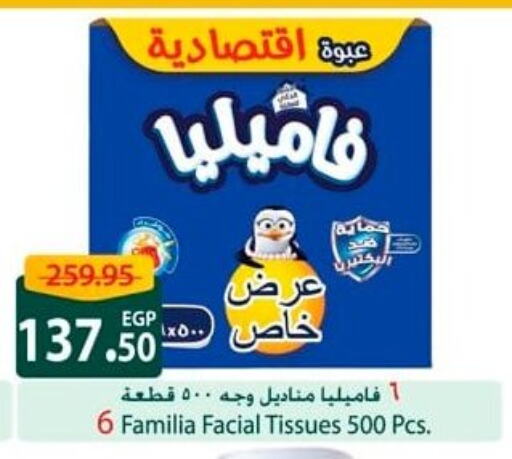 Facial Tissue in Spinneys , Egypt Offers - Egypt FAMILIA available at Spinneys in Egypt - Cairo