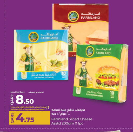 جبنة شرائح available at لولو هايبرماركت in قطر - الوكرة