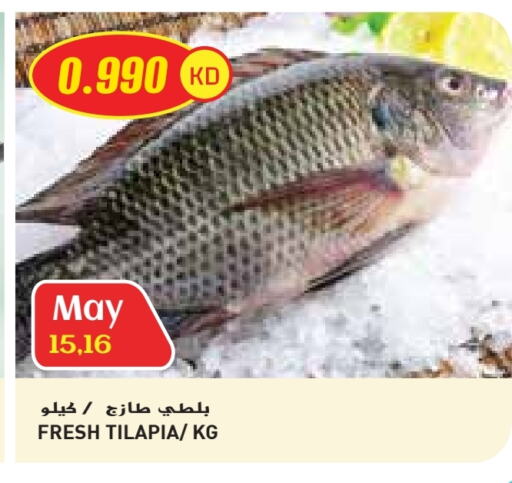 available at Grand Costo in Kuwait - Ahmadi Governorate