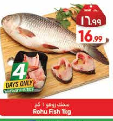 available at City Flower in KSA, Saudi Arabia, Saudi - Hail