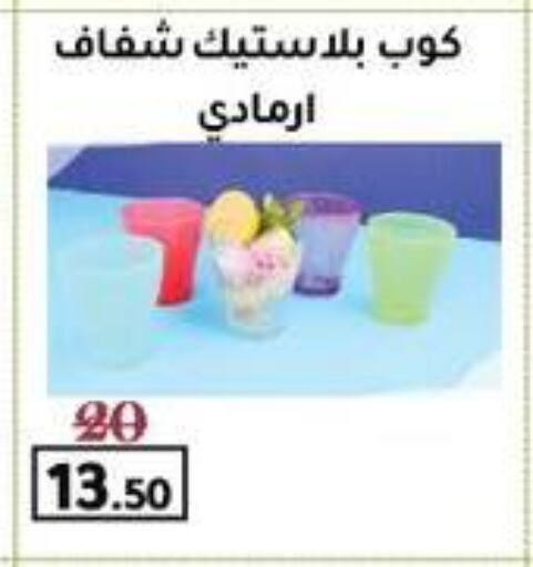 Disposables in Wekalet Elmansoura - Dakahlia , Egypt Offers - Egypt available at Wekalet Elmansoura - Dakahlia in Egypt - Cairo