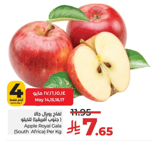 Apples from South Africa available at LULU Hypermarket in KSA, Saudi Arabia, Saudi - Hail