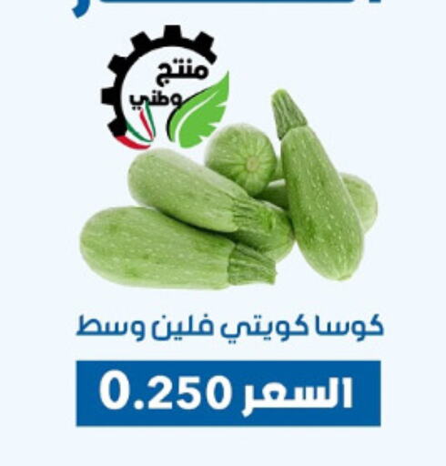 Fresh Vegetables in Dahiyat Abdullah Al Salem and Mansourieh Cooperative Society, Kuwait Offers - Kuwait Zucchini available at Dahiyat Abdullah Al Salem and Mansourieh Cooperative Society in Kuwait - Jahra Governorate