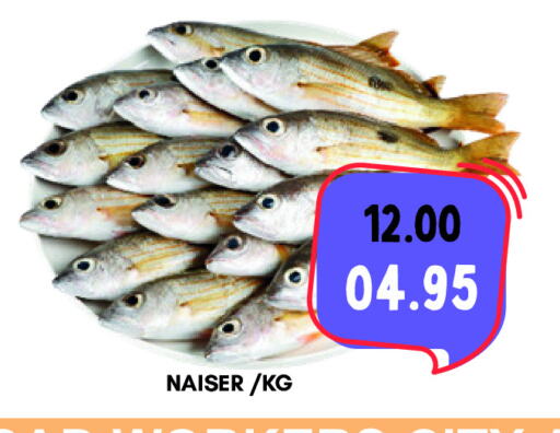 available at ROYAL GULF HYPERMARKET LLC in UAE - Abu Dhabi