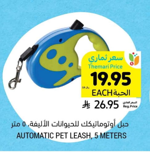 Pets in Tamimi Market, Saudi Arabia Offers - Saudi Arabia available at Tamimi Market in KSA, Saudi Arabia, Saudi - Hafar Al Batin