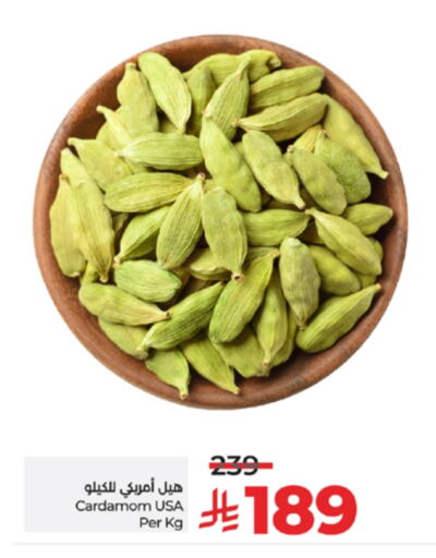 الملح، التوابل والمعجون in لولو هايبرماركت, المملكة العربية السعودية Offers - المملكة العربية السعودية أعشاب مجففة available at لولو هايبرماركت in مملكة العربية السعودية, السعودية, سعودية - خميس مشيط