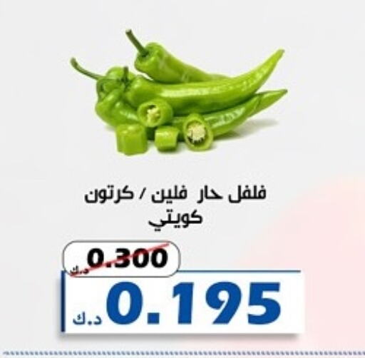 Chilli / Capsicum available at Al Khaldiya Society  in Kuwait - Kuwait City