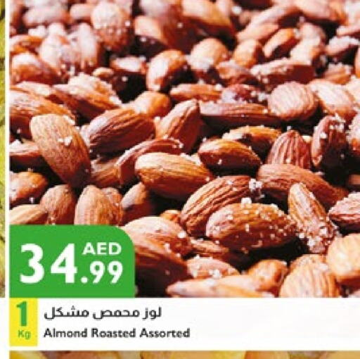 available at إسطنبول سوبرماركت in الإمارات العربية المتحدة , الامارات - أبو ظبي