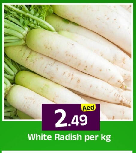 Radish available at Mubarak Hypermarket Sharjah in UAE - Sharjah / Ajman