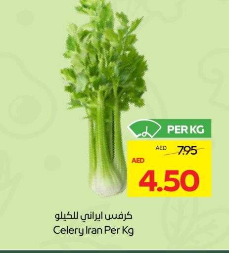 Celery available at ADCOOP in UAE - Al Ain