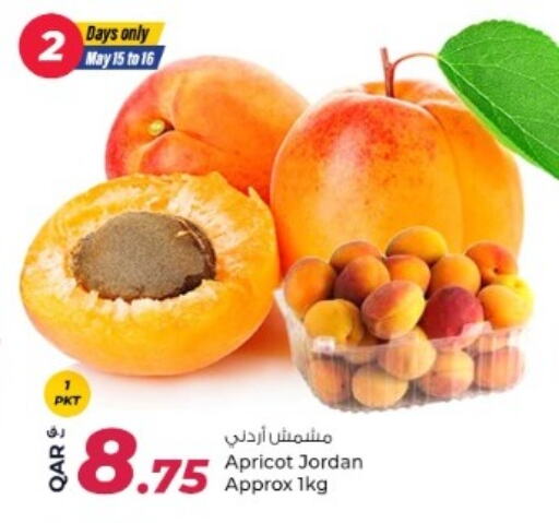 Fresh Fruits in Rawabi Hypermarket, Qatar Offers - Qatar Apricot from Jordan available at Rawabi Hypermarket in Qatar - Al Rayyan