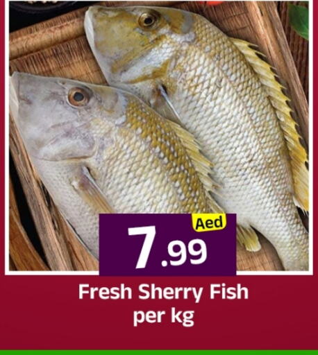 الأسماك الطازجة in مبارك هايبرماركت الشارقة, UAE Offers - الإمارات العربية المتحدة available at مبارك هايبرماركت الشارقة in الإمارات العربية المتحدة , الامارات - الشارقة / عجمان