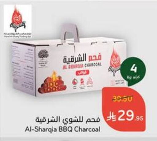 Outdoors & Garden in Hyper Panda, Saudi Arabia Offers - Saudi Arabia available at Hyper Panda in KSA, Saudi Arabia, Saudi - Khamis Mushait