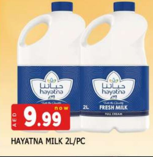 HAYATNA Full Cream Milk available at AL MADINA in UAE - Sharjah / Ajman